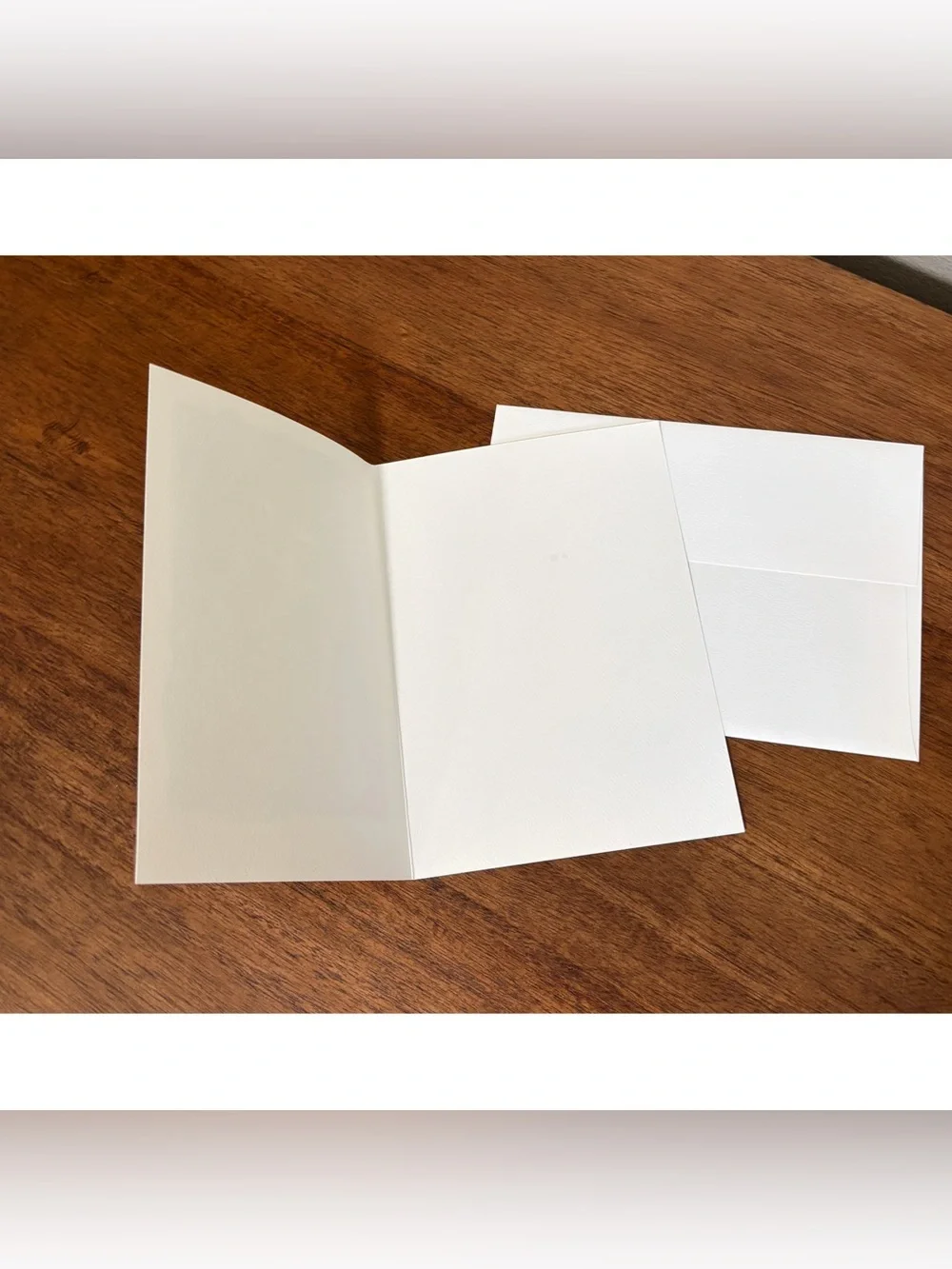 Cat Reading Greeting Cards Set Of 10 With Envelopes Andrea Wisnewski 5” x 6.75”